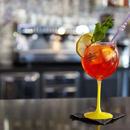 罗西酒店 酒店 卢德