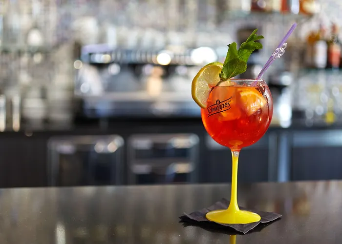 Roissy Hotell Lourdes